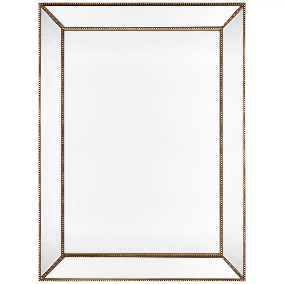 Eden Nest Large Antique Gold Wall Mirror Beveled Frame