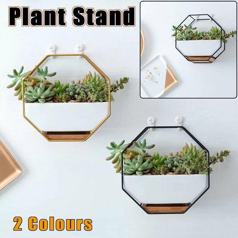 Eden Nest Wall Hanging Succulent Planter Gold Decor