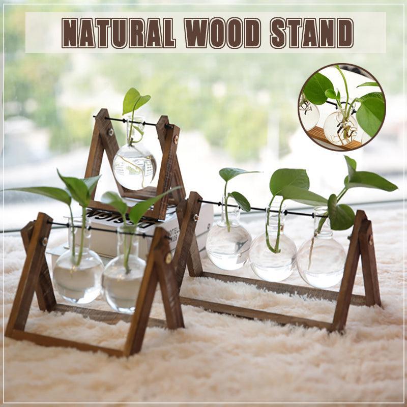 Eden Nest Wooden Stand Hanging Glass Vase Collection
