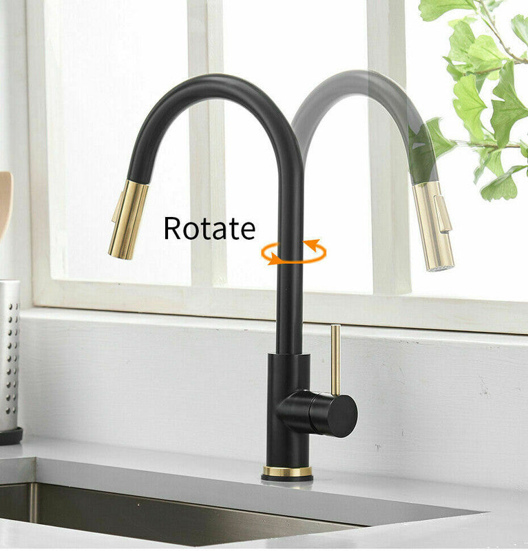 Eden Nest Pull-Out Spray Kitchen Mixer - Double Handle Brass Tap in Black