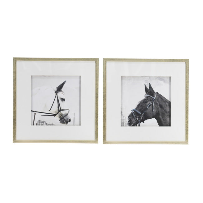 Eden Nest Horse Framed Prints Set 56cm Wall Art Decor
