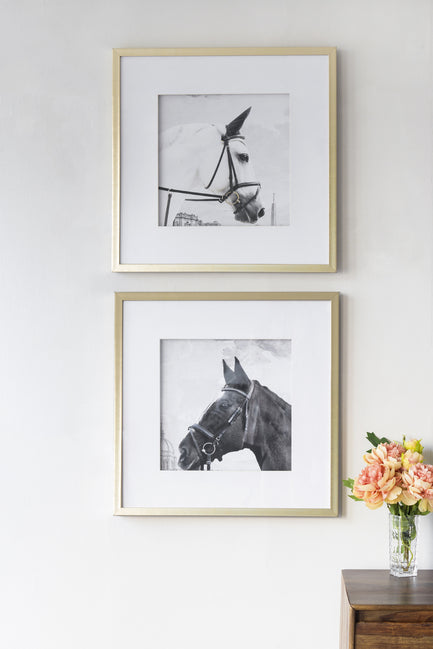 Eden Nest Horse Framed Prints Set 56cm Wall Art Decor