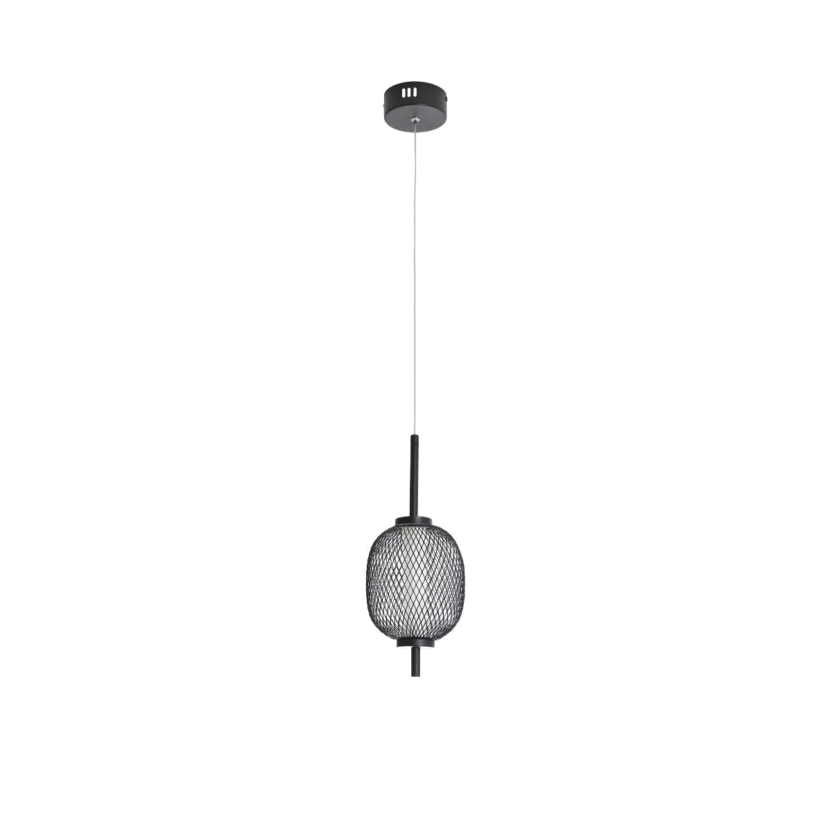 Sleek Black Metal Pendant Light