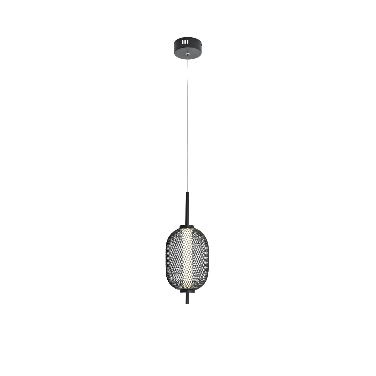 Contemporary Black Cage Pendant Light